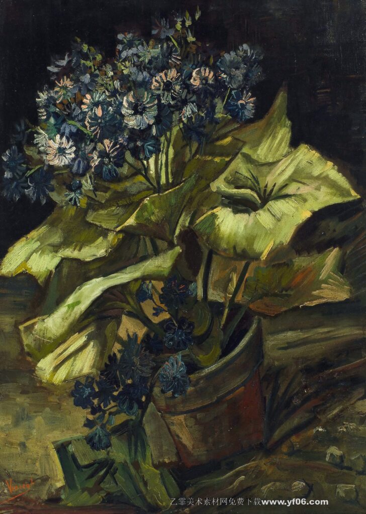 029 梵高 Cineraria