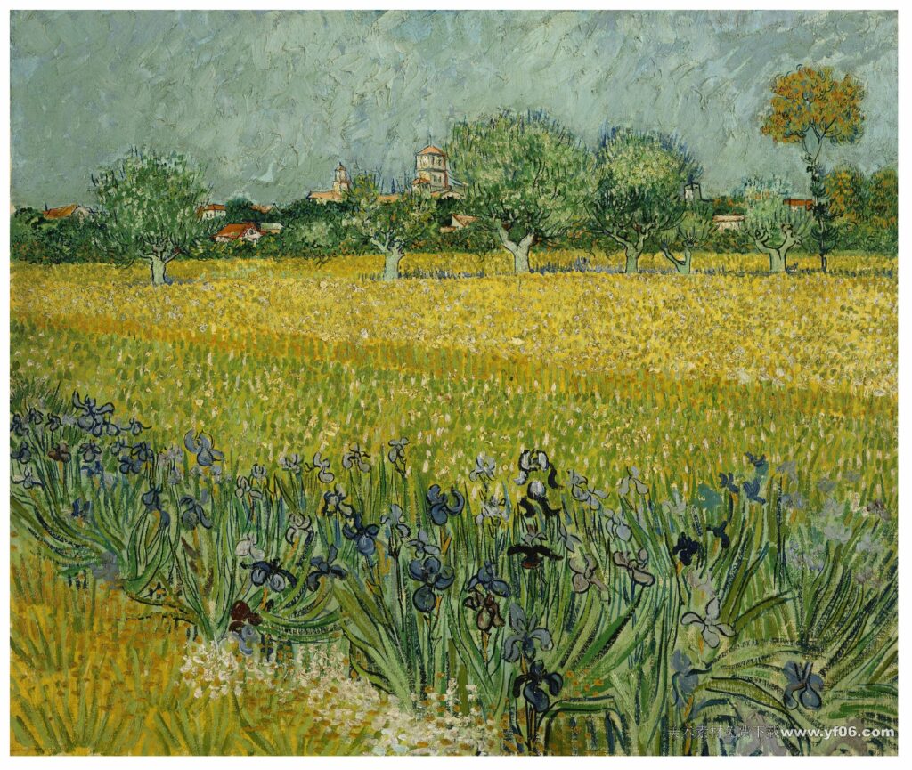 051 梵高 Field with Flowers near Arles 1888