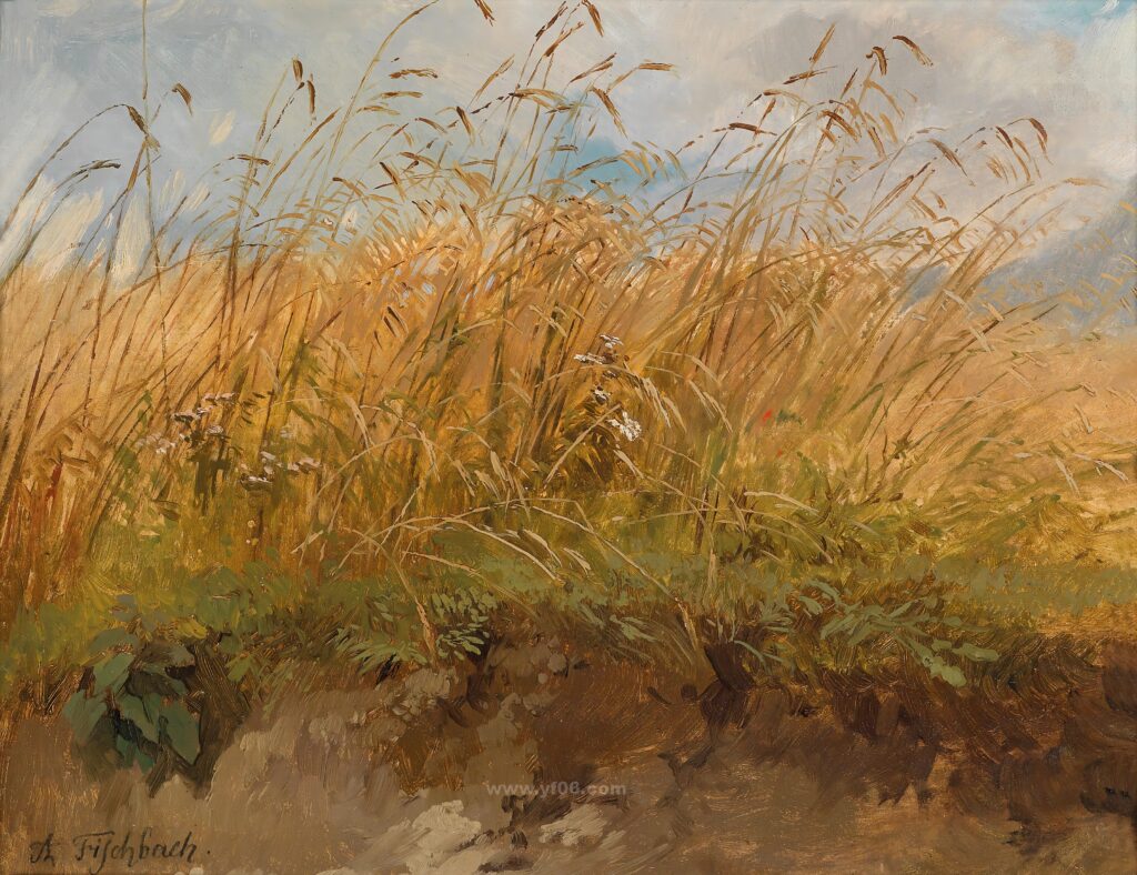 0638#风景第二季MH-B_113321