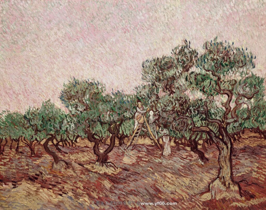 123 梵高 Olive Grove9
