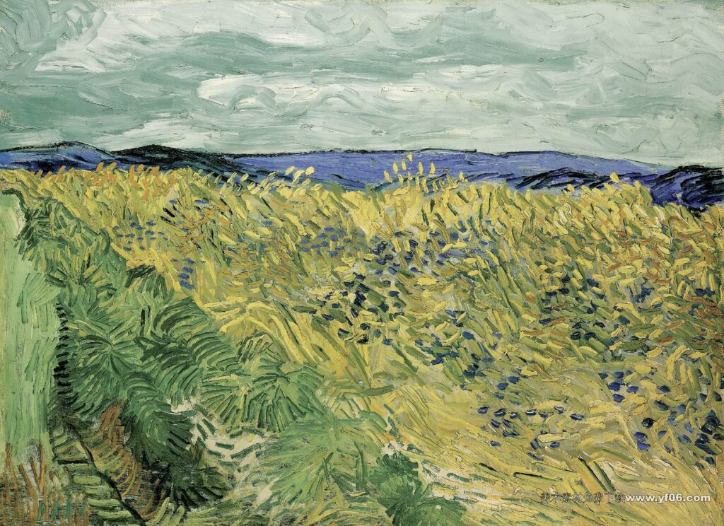 248 梵高 Wheat Field with Cornflowers