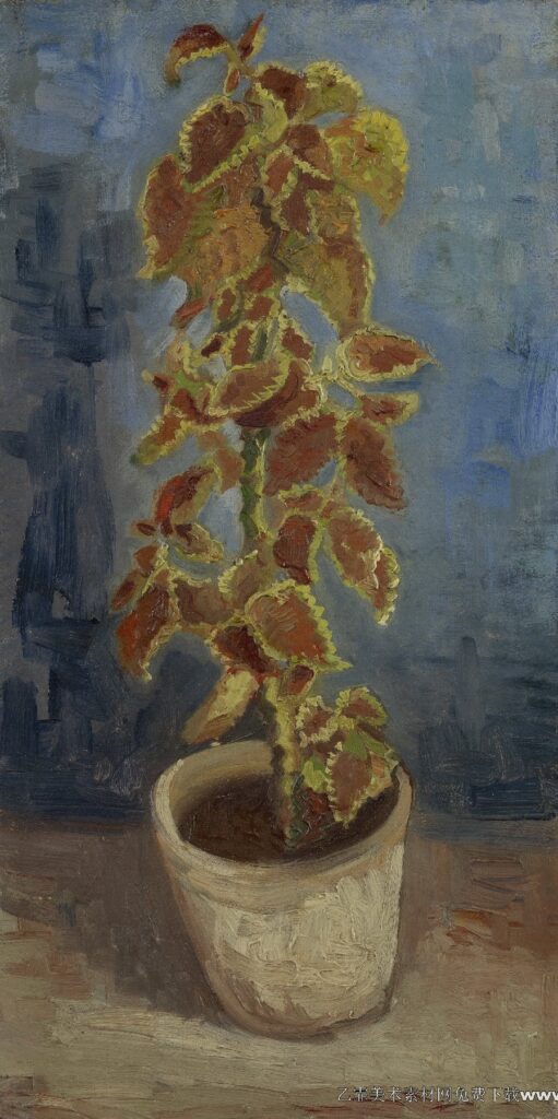 283 梵高 Coleus Plant in a Flowerpot, 1886