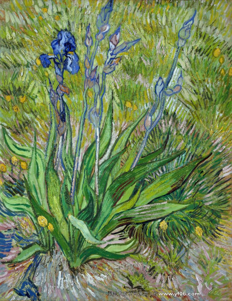 335 梵高 The Iris