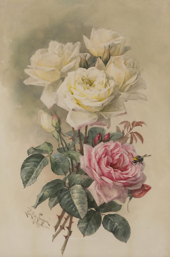 455#MH007-550_042108