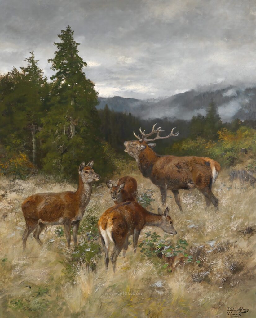 风景第三季 (265)_081818