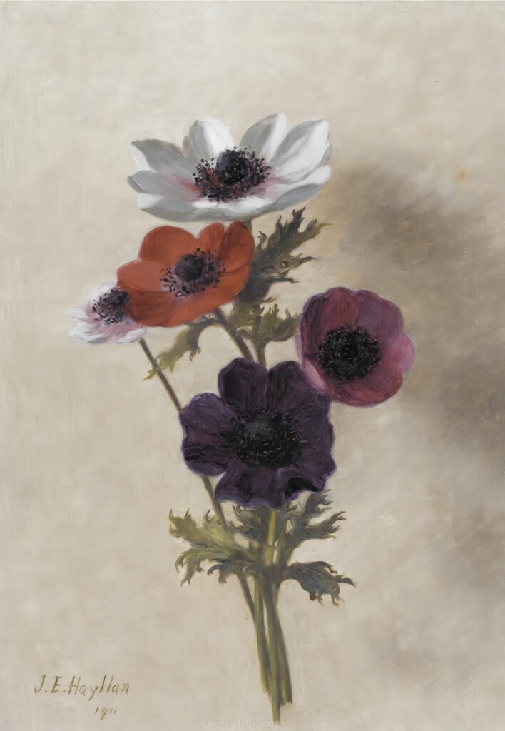 007-Jessica Hayllar 长女 (2)_032900