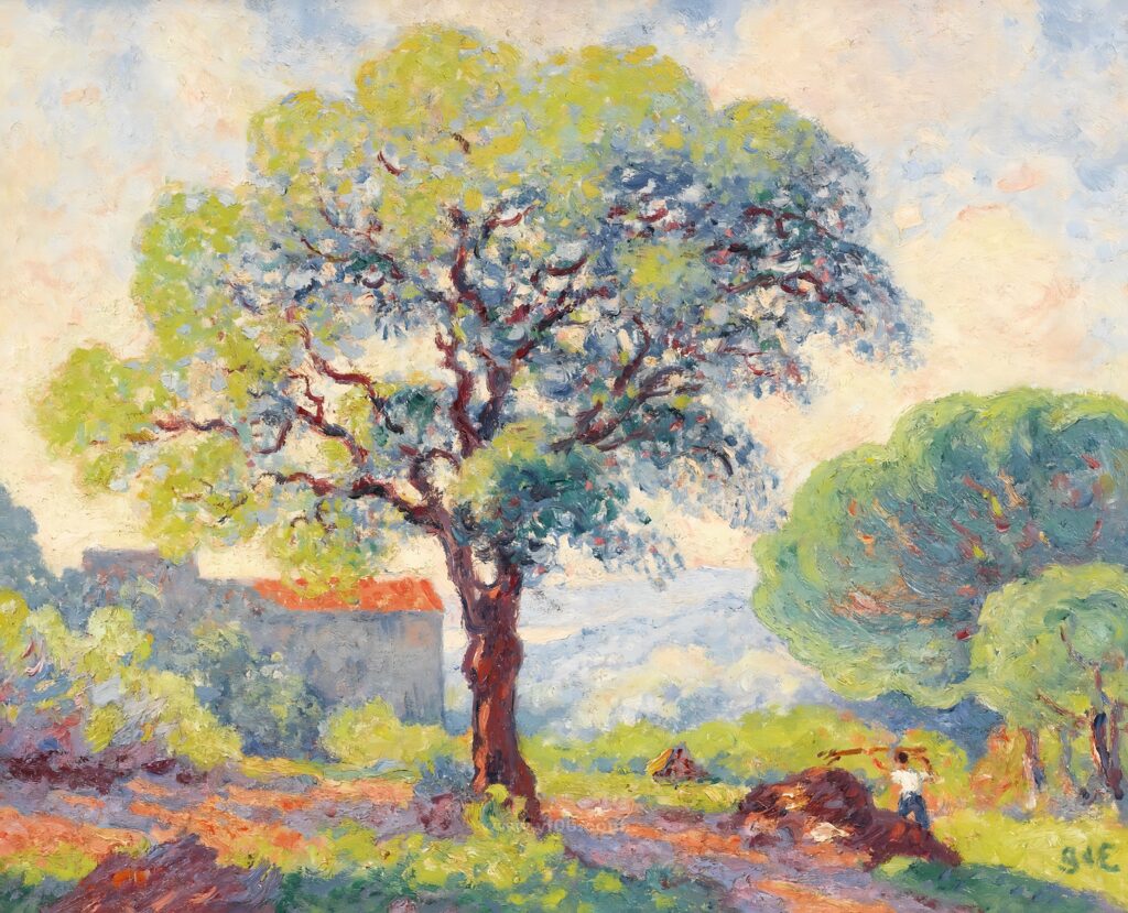 042-1902_Пробковый дуб в Сен-Клер (Chene Liege a Saint Clair)_031525