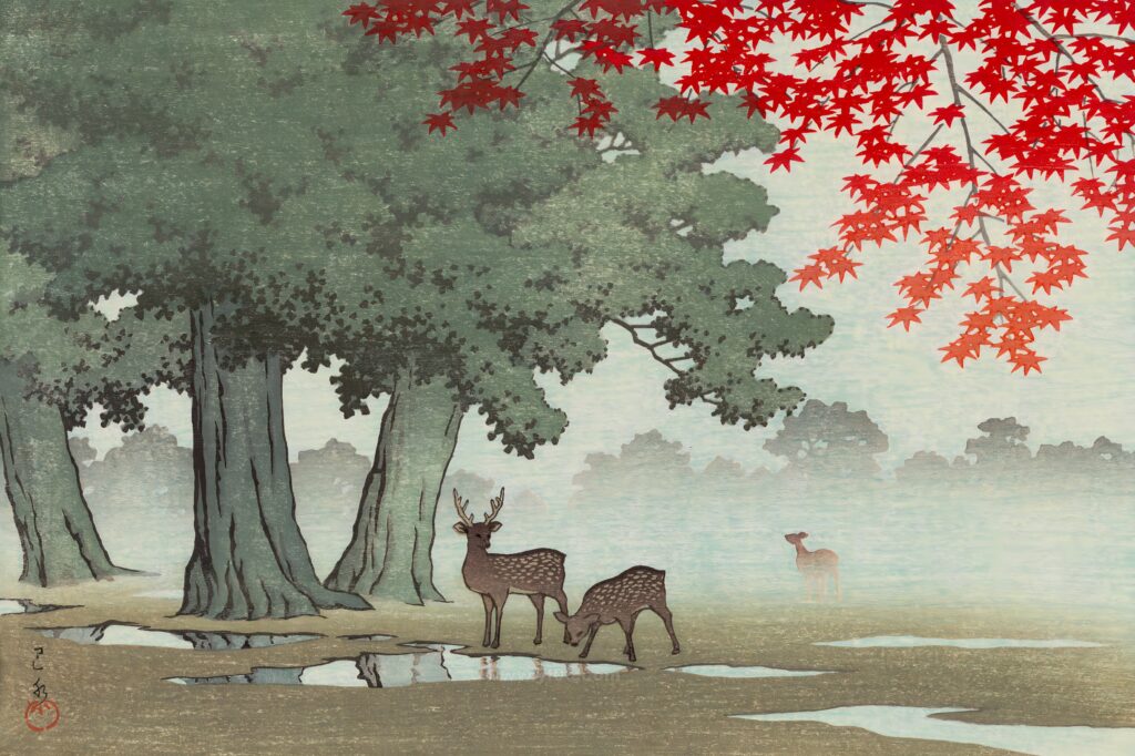 (157)1953奈良公園_122036