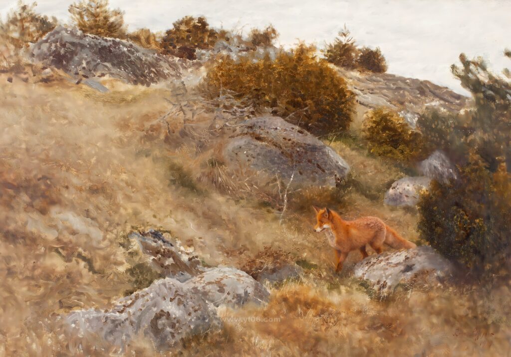 AUTUMN LANDSCAPE WITH FOX._024037