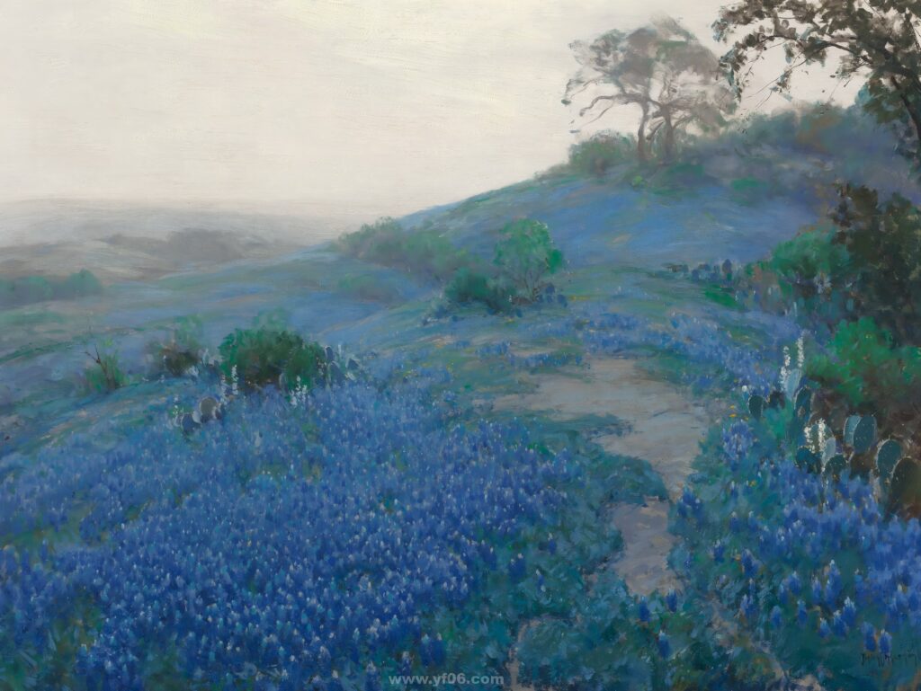 Blue Bonnet Field, Early Morning, San Antonio Texas, 1914_114907
