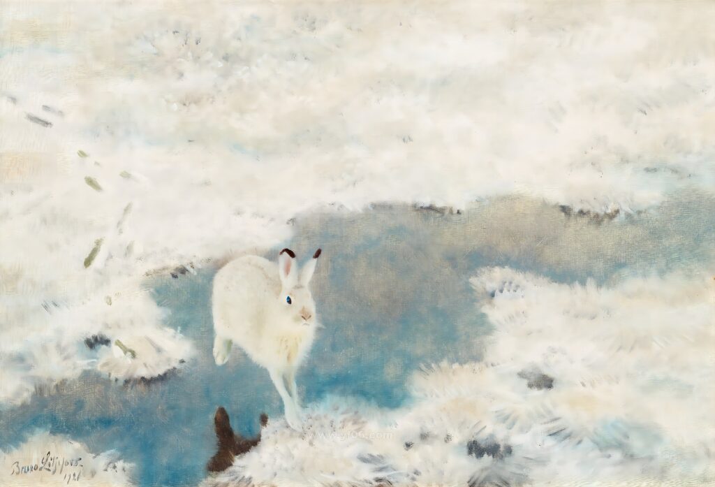 HARE I VINTERLANDSKAP._023155